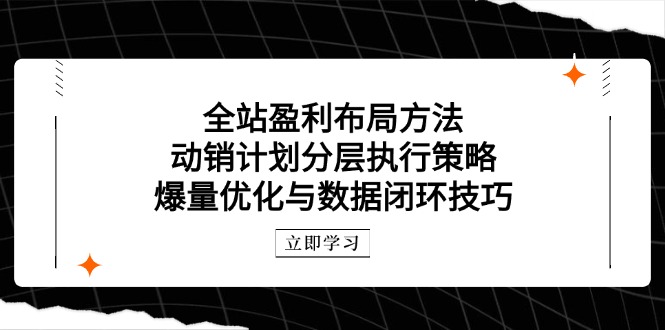 全站盈利布局方法：动销计划分层执行策略，爆量优化与数据闭环技巧-聊项目