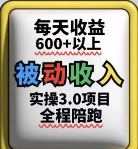 被动收入实操3.0项目，每天收益6张+以上，能长期操作-聊项目