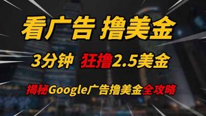 看广告，撸美金！！3分钟赚2.5美金！！日入200美金不是梦！揭秘Google…-聊项目