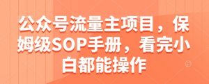 公众号流量主项目，保姆级SOP手册，看完小白都能操作-聊项目