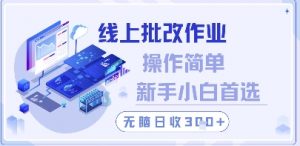 线上批改作业，操作简单新手小白首选，无脑日收300+【揭秘】-聊项目