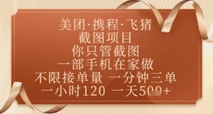 飞猪美团截图项目，你只管截图，一部手机在家做，正规平台无套路，一天5张+【揭秘】-聊项目