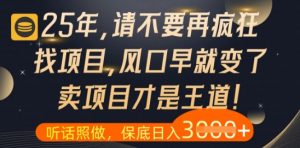 什么？25年你还在疯狂找项目做，醒醒吧，看完这些你全都懂了【揭秘】-聊项目