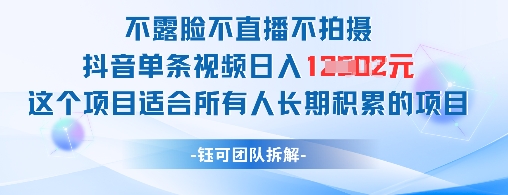 不露脸不直播不拍摄抖音单条视频日入1k+这个项目适合所有人长期积累的项目-聊项目