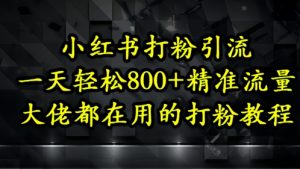 小红书打粉引流,一天轻松500+精准流量,大佬都在用的打粉教程-聊项目