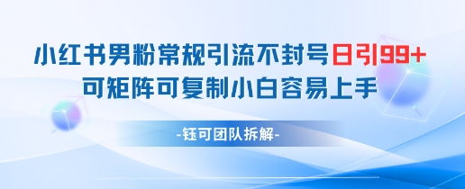 小红书男粉常规引流不封号日引99+变现简单 可矩阵可复制小白容易上手-聊项目