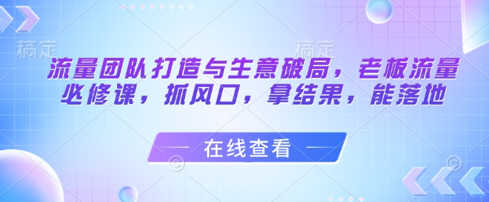 流量团队打造与生意破局，老板流量必修课，抓风口，拿结果，能落地-聊项目