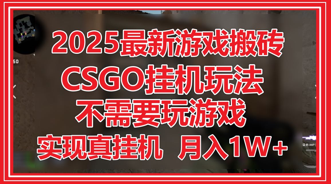 2025最新游戏搬砖，CSGO挂机，不需要玩游戏，实现真挂机，月入1W+-聊项目