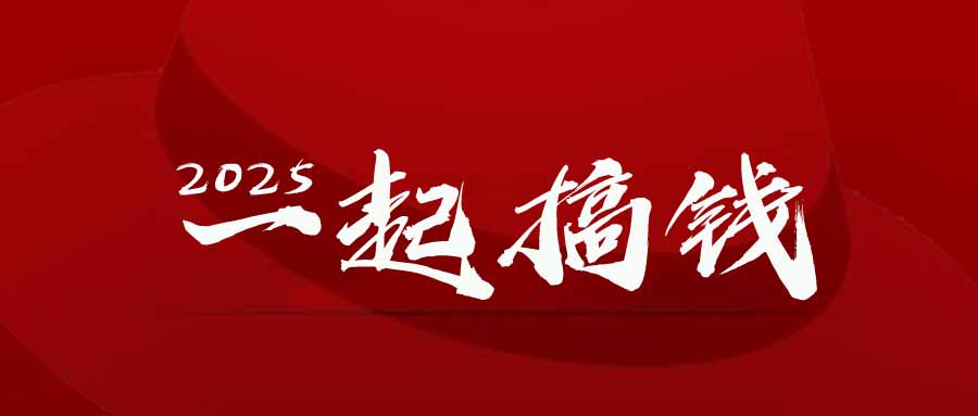 2025年，请“不择手段”去搞钱!-聊项目