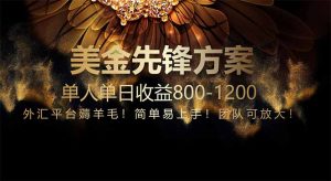 免费技术!小众赛道!一年布局抵三年努力,每日800+-聊项目