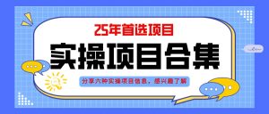 2025年实操六大项目实操演练，挂机类型，AI直播类型，轻资产创业类型，…-聊项目