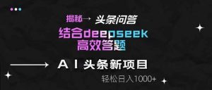 揭秘头条问答新玩法！结合deepseek高效答题，轻松日入1000+-聊项目