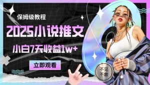 2025小说推文最新玩法，推文保姆级教程，小白7天收益1w+-聊项目