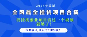 2025最全挂机项目合集 找项目看这一个视频就够了，做对项目月入过万很…-聊项目
