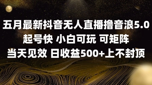 2025五月最新无人直播撸音浪单日产出5张+实操教程【揭秘】-聊项目