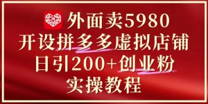 外面卖5980开设拼多多虚拟店铺:单日引流200+创业付费粉实战教程-聊项目