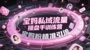 宝妈私域流量操盘手训练营，宝妈粉精准引流-聊项目