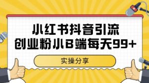 小红书抖音创业粉,小B端粉自热,日引99+的一个玩法【揭秘】-聊项目
