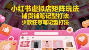 小红书虚拟店矩阵玩法,铺货铺笔记型打法,少款狂怼笔记型打法-聊项目