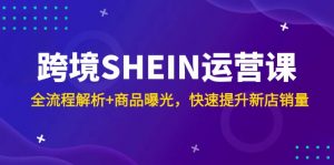 跨境SHEIN运营课，全流程解析+商品曝光，快速提升新店销量-聊项目