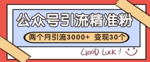 公众号精准粉引流玩法,2个月3000+精准粉,变现30个W【揭秘】-聊项目