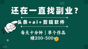 头条全新玩发加持软件搬视频，每天十分钟，单个作品收入200-500左右-聊项目