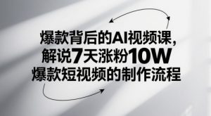 爆款背后的AI视频课,解说7天涨粉10W爆款短视频的制作流程-聊项目