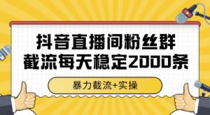 抖音直播间粉丝群暴力截流，一台电脑每天稳定2000条数据，暴力截流+实操 【揭秘】-聊项目