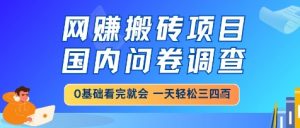 网创搬砖项目，国内问卷调查，小白轻松上手，一天三四张的也不难，干就完了【揭秘】-聊项目