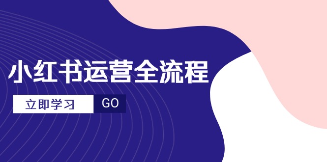 小红书运营全流程，爆款选题文案，视频制作技巧，进阶达人宝典-聊项目