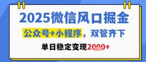 2025微信风口掘金，公众号+小程序双管齐下，单日稳定变现1k+【揭秘】-聊项目