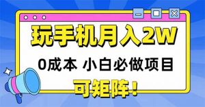 玩玩手机月入20000+,0成本小白必做项目,可矩阵-聊项目