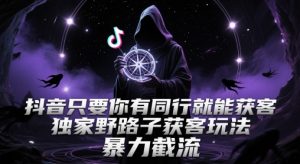 抖音只要你有同行就能获客,独家野路子获客玩法,暴力截流【揭秘】-聊项目