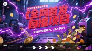 全网首发，2025年最新稳定暴力全自动自撸项目，无限制批量操作，日入多张【揭秘】-聊项目