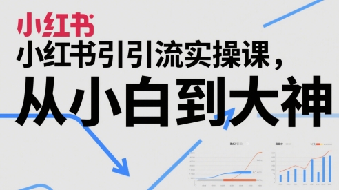 小红书引流实操课，从小白到大神-聊项目