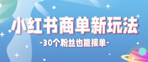 小红书商单新玩法，30个粉丝也能接单，一个月接三单赚了150+！适合新手小白操作-聊项目