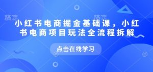 小红书电商掘金课,小红书电商项目玩法全流程拆解(更新5月)-聊项目