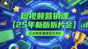短视频营销课【25年新版拆片会】三大体系成就百万大V,包含正课、拆片会、手把手教学直播课等-聊项目