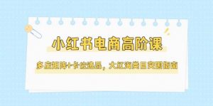 小红书电商高阶课,多店矩阵+卡位选品,大红海类目突围指南(更新5月)-聊项目