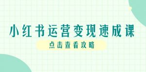 小红书运营变现速成课,账号搭建到暴力起号,个人IP全流程指南-聊项目