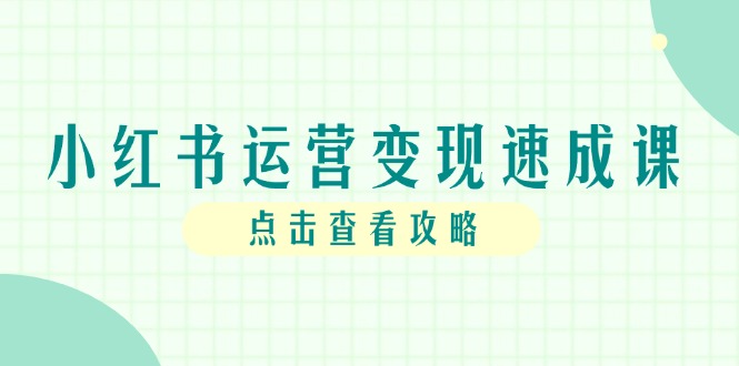 小红书运营变现速成课，账号搭建到暴力起号，个人IP全流程指南-聊项目