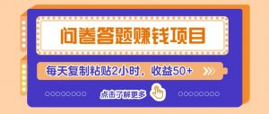 问卷答题赚钱项目新平台,新手小白也能操作,每天复制粘贴2小时,收益50+-聊项目