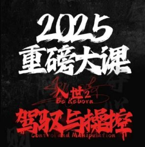 2025重磅大课,入世2,驾驭与控制-聊项目