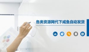 各类资源网代下咸鱼自动发货-聊项目