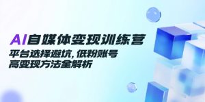 AI自媒体变现训练营,平台选择避坑,低粉账号高变现方法全解析-聊项目