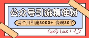 公众号精准粉引流玩法 2个月3000+精准粉 变现30万+-聊项目