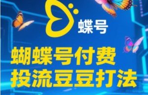 2025蝴蝶号付费投流豆豆打法，助新手快速掌握付费流量撬动自然流的核心玩法-聊项目