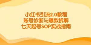 小红书引流2.0教程,账号诊断与爆款拆解,七天起号SOP实战指南-聊项目