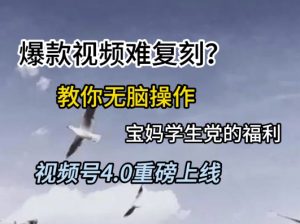 视频号4.0重磅上线,爆款视频难复刻?教你无脑操作宝妈学生党的福利【揭秘】-聊项目