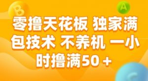 零撸天花板,独家满包技术 不养机 一小时撸满50+【揭秘】-聊项目